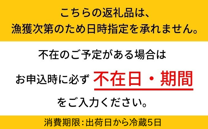 【2026年3月中旬以降発送】富山産ボイルホタルイカ360g（120g×3）※沖縄・離島への配送不可 ※2026年3月中旬～5月中旬頃に順次発送予定