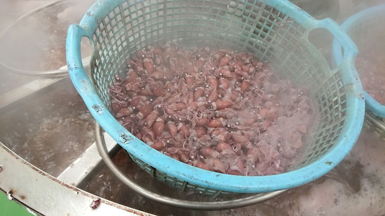 【2026年3月上旬以降発送】富山県産ボイルホタルイカ340g（酢みそ付）【棚辺水産】　※2026年3月上旬～5月中旬頃に順次発送予定　※離島への配送不可