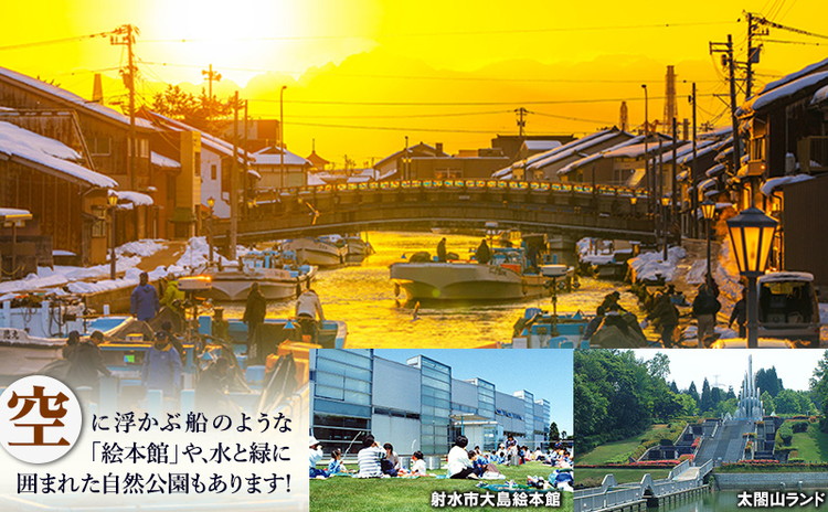 富山県射水市　応援寄附（返礼品なし） 10,000円