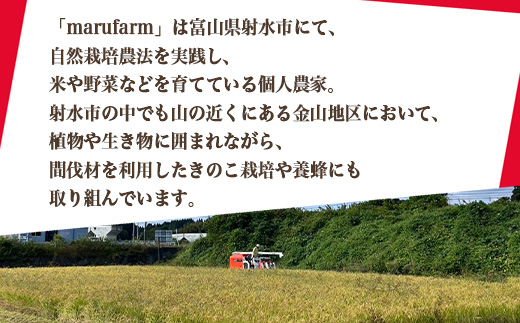 【射水の美味しいお米】【自然栽培農法】自然栽培農家 marufarm 自然栽培米「赤米」900g（300g×3袋）※離島への配送不可