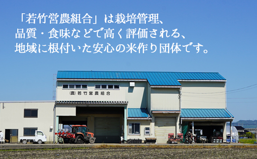 【射水市】【射水の美味しいお米】若竹のお米 R7年度産 富富富5kg【精米】 ※離島への配送不可 ※2025年10月上旬～10月下旬頃に順次発送予定