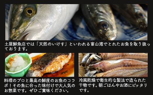 【射水市】【射水のおいしい海鮮】【新湊産】自家製 おまかせ干物漬魚セット 竹6種 ※離島への配送不可