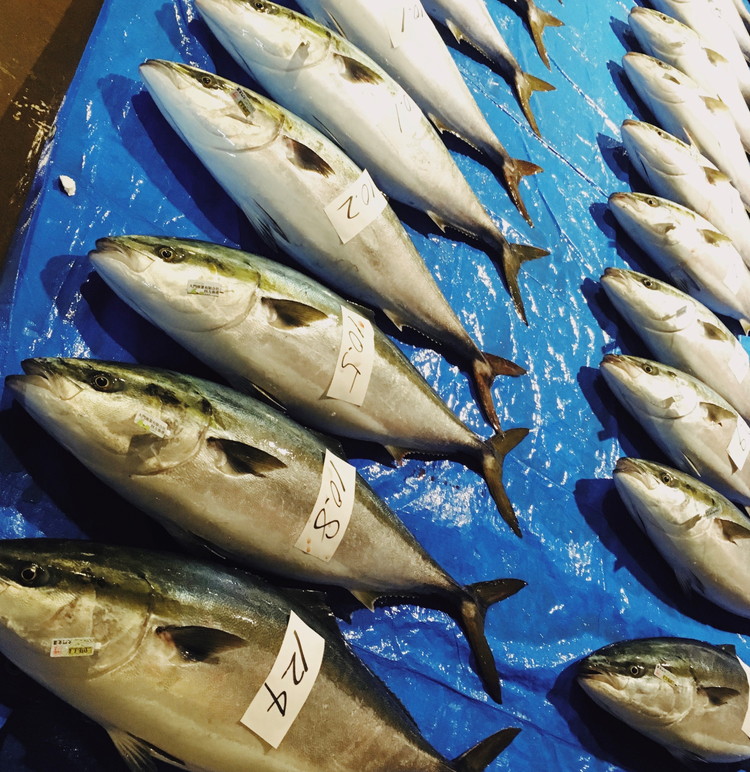 天然ブリスモーク(冷凍)×3パック/魚介 おつまみ 燻製/富山県射水市