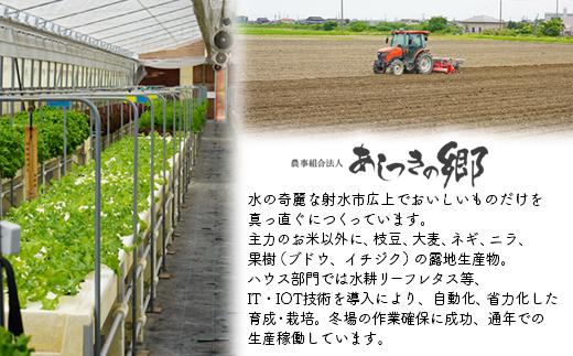 【射水市】【環境保全型農業】【スマート農業】【射水の美味しいお米】あしつきの郷のあしつき米 R7年度産 コシヒカリ 15kg（5kg×3）【精米】 ※離島への配送不可