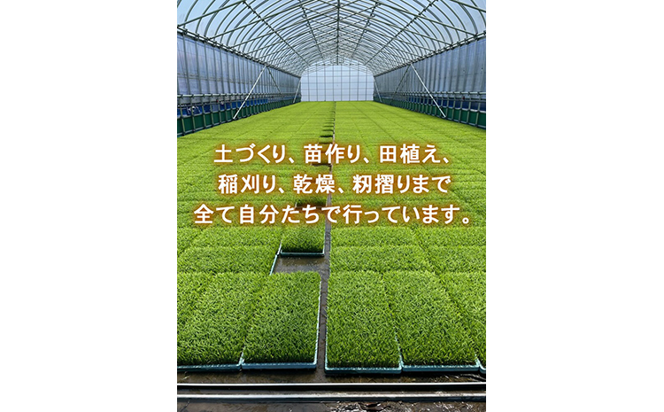 R7年産コシヒカリ10kg（5kg×2）｜射水市 ライスファーマー山上 農家直送 射水の美味しいお米 精米 ※離島への配送不可