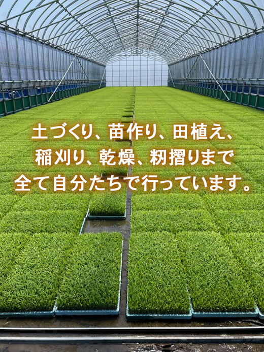 R7年産コシヒカリ20kg（5kg×4）｜射水市 ライスファーマー山上 農家直送 射水の美味しいお米 精米 ※離島への配送不可