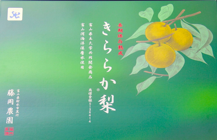 藤岡さんが作ったきららか梨（幸水または豊水）約3kg ｜ 梨 ナシ 果物 フルーツ　※2025年8月下旬～10月上旬頃に順次発送予定