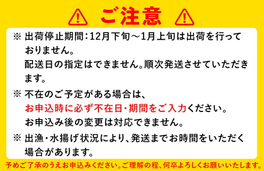 白えび刺身200g×2個
