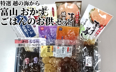 惣菜 特選 越の海から セット 富山 おかず ごはんのお供 たら 鮭 にしん ぶり ブリ 鰤 昆布 ほたるいか ホタルイカ 白エビ 白えび 白海老 加工食品 魚 魚介類 魚介 海産物　 富山県射水市