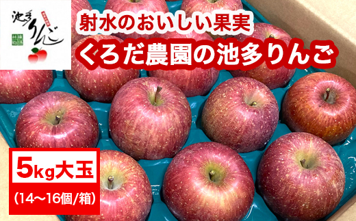 【射水のおいしい果実】【林檎】くろだ農園の池多りんご 5kg大玉（14～16個／箱） ※離島・沖縄県への配送不可 ※2025年11月下旬～2026年1月中旬頃に順次発送予定