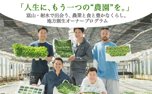 【射水市】【農業】【体験】スプラウト農家（豆苗、カイワレ、ブロッコリースプラウト）オーナー権