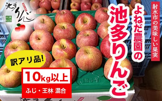 【射水のおいしい果実】【林檎】 よねだ農園の池多りんご ふじ・王林 訳アリ品10kg以上 ※沖縄・離島への配送不可 ※2025年11月中旬～12月中旬頃に順次発送予定