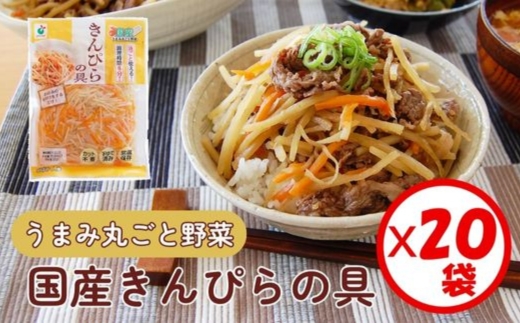 「うまみ丸ごと野菜 国産きんぴらの具 200g」×20袋 ※離島への配送不可