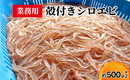 業務用殻付きシロエビ500g×2