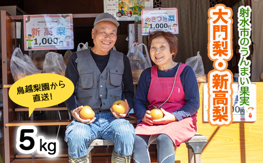 梨 射水の鳥越梨園から直送！【大門梨（新高梨）】5kg  果物 フルーツ なし 北陸 富山 ※2025年9月下旬～2025年10月上旬頃に順次発送いたします