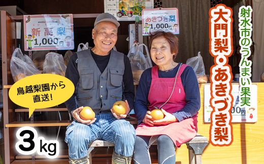 梨 射水の鳥越梨園から直送！【大門梨（あきづき梨）】3kg  果物 フルーツ なし 北陸 富山 ※2025年9月中旬～2025年9月下旬頃に順次発送いたします
