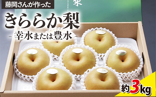 藤岡さんが作ったきららか梨（幸水または豊水）約3kg ｜ 梨 ナシ 果物 フルーツ　※2025年8月下旬～10月上旬頃に順次発送予定