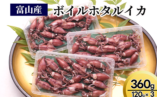 【2026年3月中旬以降発送】富山産ボイルホタルイカ360g（120g×3）※沖縄・離島への配送不可 ※2026年3月中旬～5月中旬頃に順次発送予定