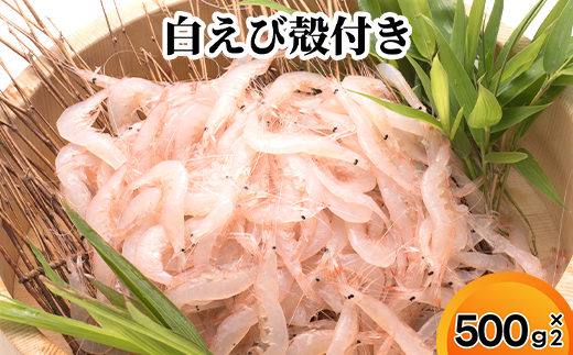白えび殻付き500g×2