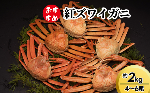 【おすすめ】紅ズワイガニ約2kg（4～6尾）※2025年9月中旬～2026年3月下旬頃に順次発送予定　※沖縄・離島への配送不可