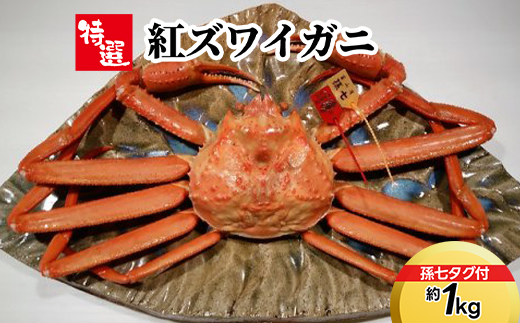 【特選】紅ズワイガニ約1kg（孫七タグ付）※2025年9月中旬～2026年3月下旬頃に順次発送予定　※沖縄・離島への配送不可