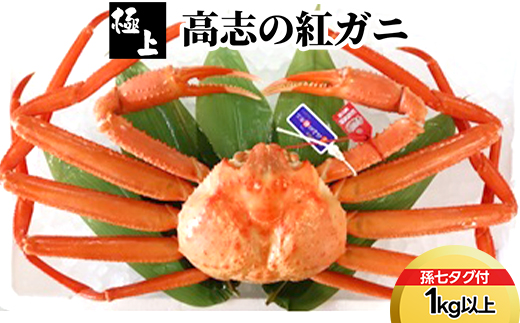 【極上】高志の紅ガニ1kg以上（孫七タグ付）※2025年9月中旬～2026年3月下旬頃に順次発送予定　※沖縄・離島への配送不可