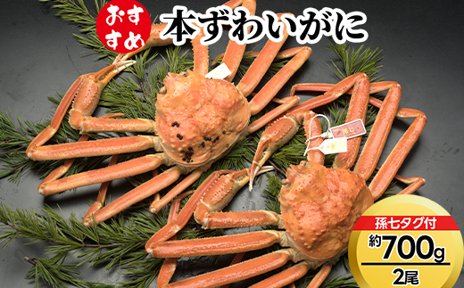 【おすすめ】本ずわいがに約700g×2尾（孫七タグ付き）※2025年11月中旬～2026年3月中旬頃に順次発送予定　※沖縄・離島への配送不可