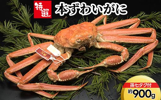 【特選】本ずわいがに約900g（孫七タグ付）※2025年11月中旬～2026年3月中旬頃に順次発送予定　※沖縄・離島への配送不可