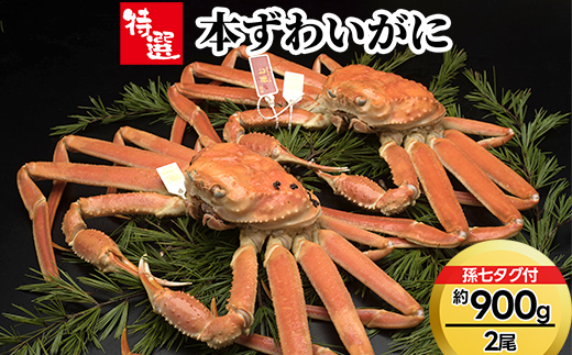 【特選】本ずわいがに約900g×2尾（孫七タグ付き）※2025年11月中旬～2026年3月中旬頃に順次発送予定　※沖縄・離島への配送不可
