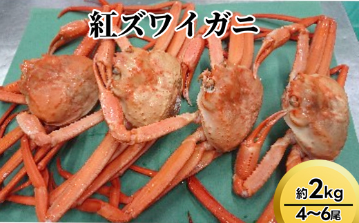紅ズワイガニ約2kg（4～6尾）【棚辺水産】※2025年9月中旬～2026年3月下旬頃に順次発送予定　※離島への配送不可