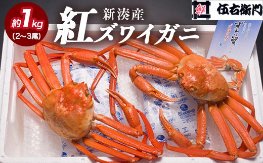 【伍右衛門】新湊産紅ズワイガニ約1kg（2～3尾） ※離島への配送不可 ※2025年10月上旬～2026年3月下旬頃 ※発送まで1か月以上かかる場合があります。