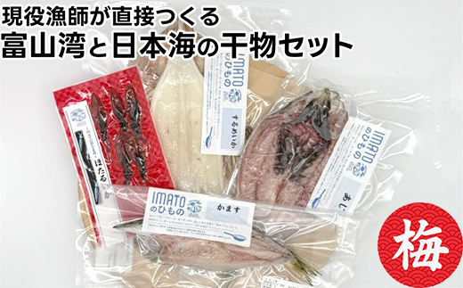 現役漁師が直接つくる富山湾と日本海の干物セット(梅)