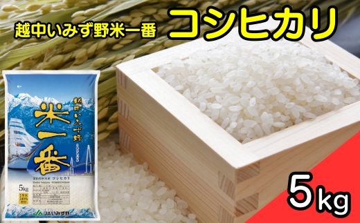【R7年度産米】越中いみず野米一番 5kg（コシヒカリ）｜米 お米 令和7年産米 ブランド米 銘柄米 等級検査 1等米 こめ 5キロ 送風乾燥 色彩選別 低温貯蔵 白米 小分け 送料無料 富山県産 射水市産 ※2025年9月中旬～2026年8月下旬頃に順次発送予定