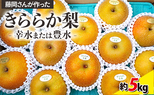 藤岡さんが作ったきららか梨(幸水・豊水)約5kg ｜ フルーツ なし 果物　 果物 フルーツ 秋の味覚 デザート 食後 おやつ 旬の果物 旬のフルーツ 最高級 ブランド梨 　※2025年8月下旬～10月上旬頃に順次発送予定