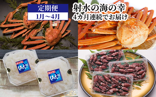 射水の海の幸！定期便 4カ月連続（1月～4月）でお届け！