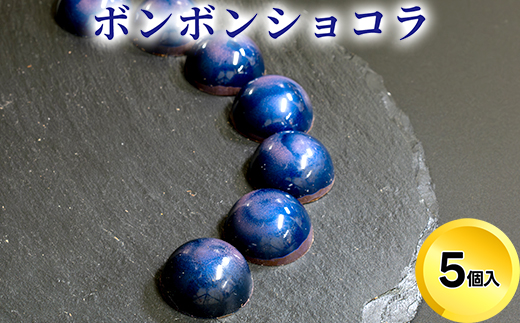 チョコレート ショコラ5個入/パティスリーサクライ/菓子 チョコ ショコラ お酒 ウイスキー 北陸 /富山県射水市
