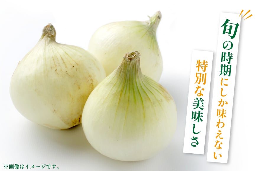訳あり 新玉ねぎ 1kg [稲生ファーム 富山県 舟橋村 57050220] 玉ねぎ 新たまねぎ タマネギ