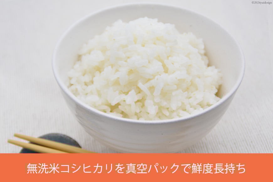 米 無洗米 コシヒカリ 真空パック 300g [お米食堂 富山県 舟橋村 57050240] お米 こしひかり お試し こめ コメ 白米 精米 ごはん 備蓄 備蓄米 長期保存 ポスト投函 メール便