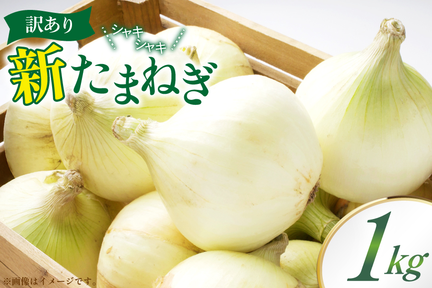 訳あり 新玉ねぎ 1kg [稲生ファーム 富山県 舟橋村 57050220] 玉ねぎ 新たまねぎ タマネギ