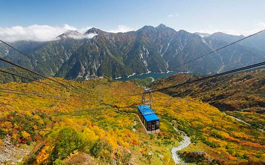 立山黒部アルペンルート ( 立山駅 ～ 黒部湖駅 ※往復 ) 優待券 立山黒部貫光観光 旅行 券 チケット 体験 トラベル 黒部 富山県 立山町  F6T-155: 立山町ANAのふるさと納税