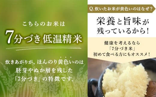 【先行予約】令和8年産 立山 天空の散歩道 吟撰米 精米 10kg×1袋 立山天空米 低温精米 国産 米 お米 日本米 ギフト 贈り物 備蓄 防災 食品 F6T-760