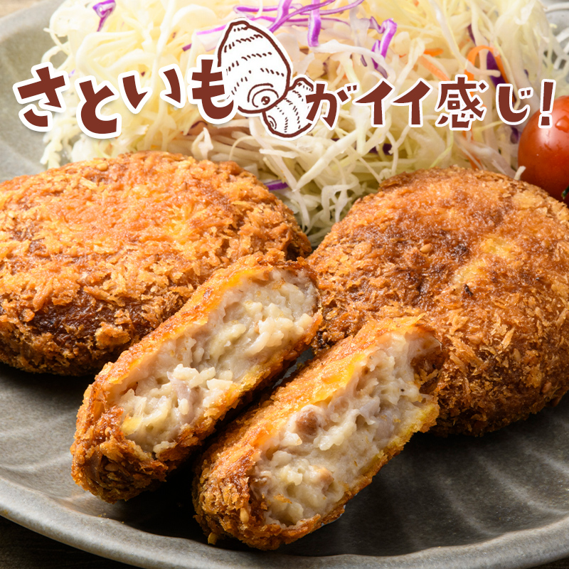 立山コロッケ プレーン 64g×5個×4パック 農事組合法人いこいの杜 富山県 立山町 F6T-167