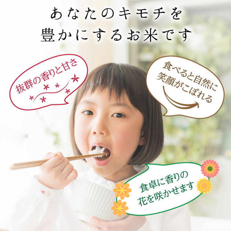 特別栽培米 コシヒカリ ヒロシノキモチ 玄米 5kg ブランド米 銘柄米 国産 米 お米 日本米 ギフト 贈り物 備蓄 防災 食品 陽咲玲 はるざれ F6T-921