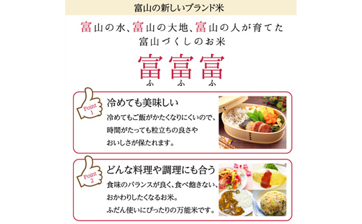 《先行予約》富山県ブランド米 富富富 無洗米 10kg ふふふ ブランド米 国産 米 お米 日本米 ギフト 贈り物 備蓄 防災 食品 陽咲玲 はるざれ F6T-903
