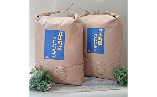 米 富山県立山町産 こしひかり 玄米 10kg×2袋 計20kg 横山ファーム 富山県 立山町 F6T-617