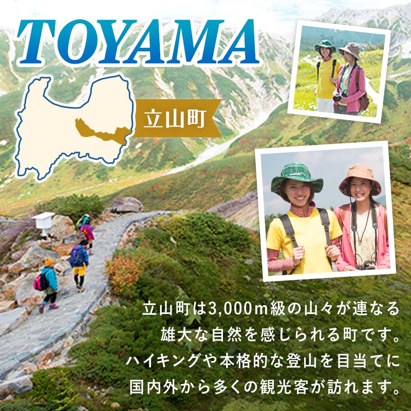 立山町 宿泊施設 宿泊券 15,000円分 (寄附額 60,000円) 宿泊チケット 宿泊 宿 山小屋 山荘 ホテル 旅 旅行 観光 レジャー チケット 登山 トレッキング アルペンルート 山岳観光 立山観光 立山黒部観光 F6T-778
