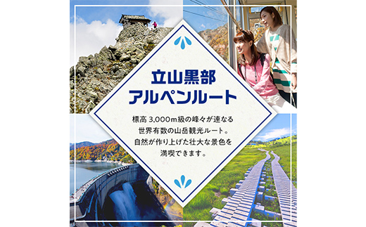 立山黒部アルペンルート ( 立山駅 ～ 扇沢駅 ※片道 ) 優待券 立山黒部貫光 観光 旅行 券 チケット 体験 トラベル 黒部 富山県 立山町 F6T-780