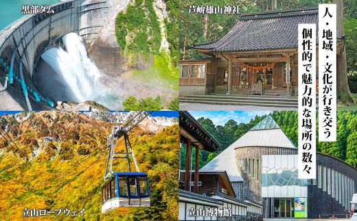 富山県 立山町 旅行クーポン 300,000 円分 キャンプ 体験 登山 観光 旅行 ホテル 旅館 老舗 高級 トラベル チケット 家族 カップル 宿泊 予約 おすすめ 父の日 母の日 旅行券 宿泊券  F6T-789