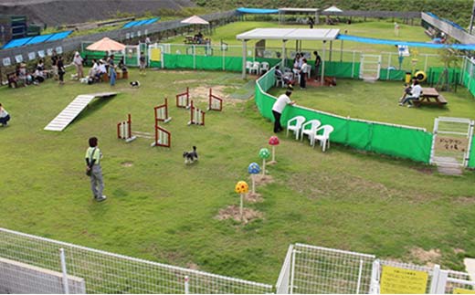 ドッグラン回数券 3回分（3,000円分）体験 ペット 犬 体験チケット チケット F6T-804