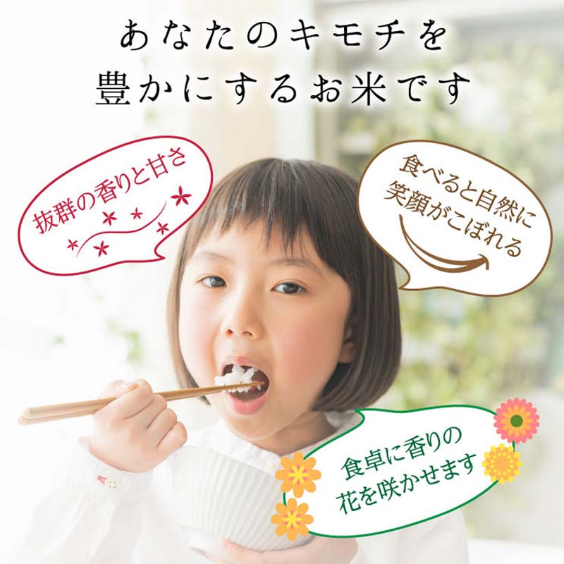 《先行予約》特別栽培米 コシヒカリ ヒロシノキモチ 精米 合計6合 (2合×3PC) ブランド米 銘柄米 国産 米 お米 日本米 ギフト 贈り物 備蓄 防災 食品 陽咲玲 はるざれ F6T-880